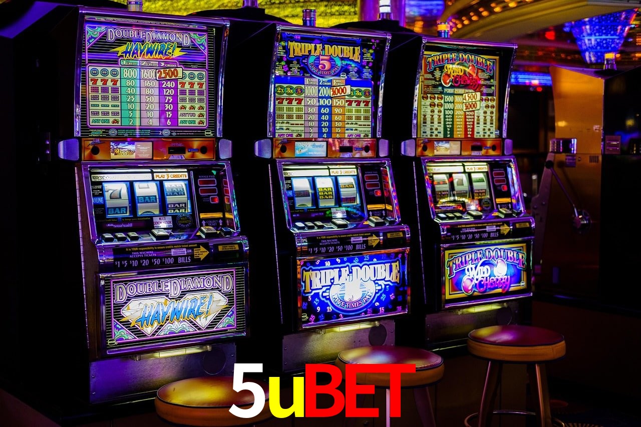 Experiência VIP 5ubet